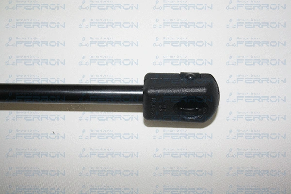 Gas Spring, boot/cargo area