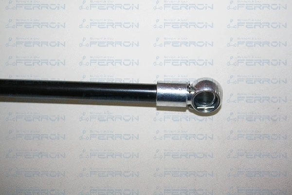 Gas Spring, boot/cargo area