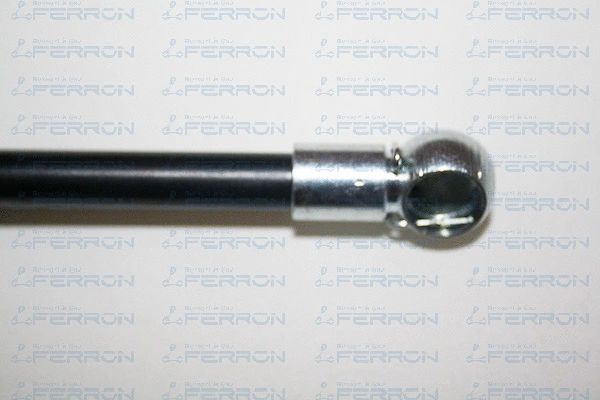 Gas Spring, bonnet