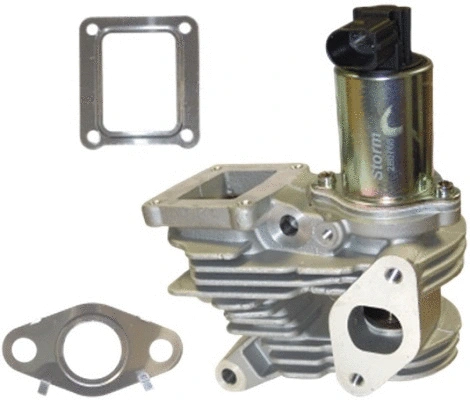 EGR Valve (TOP11450010)