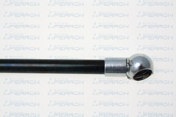 Gas Spring, bonnet