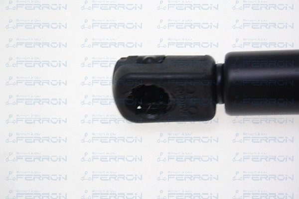 Gas Spring, bonnet