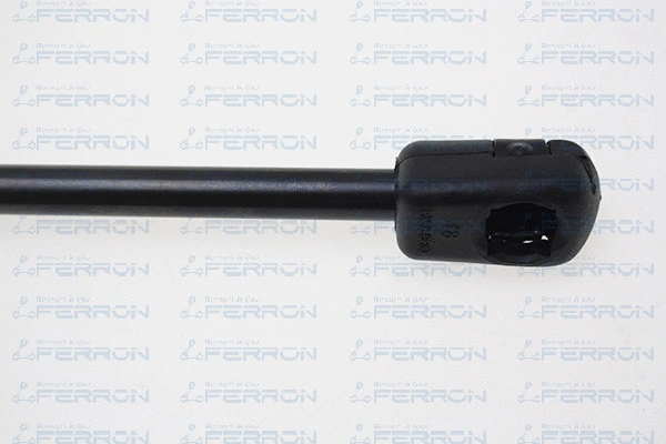 Gas Spring, boot/cargo area