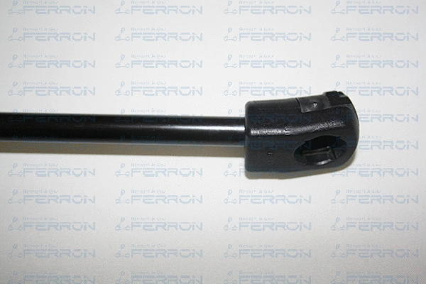 Gas Spring, boot/cargo area