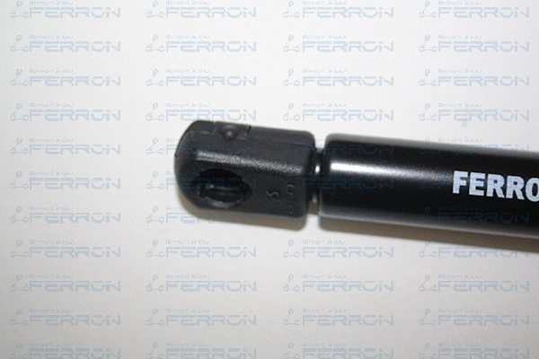 Gas Spring, boot/cargo area