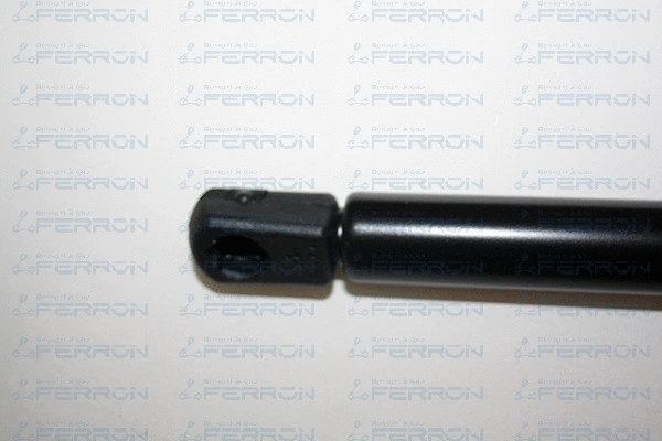 Gas Spring, boot/cargo area