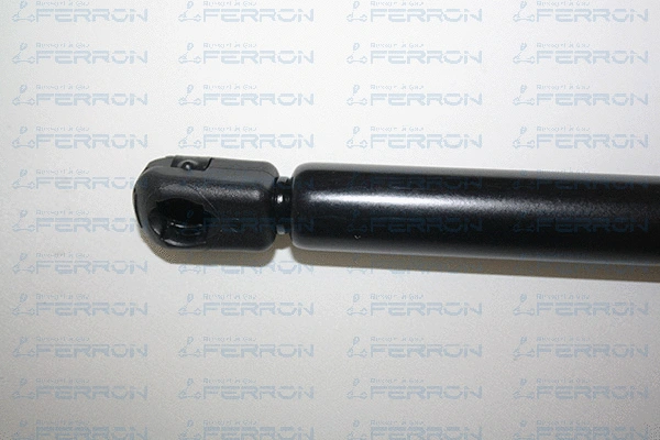 Gas Spring, bonnet
