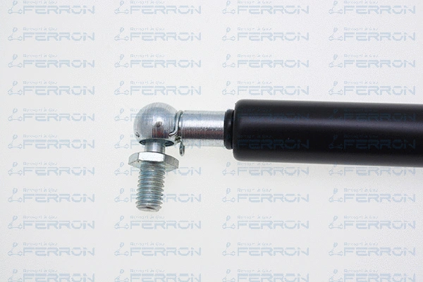 Gas Spring, boot/cargo area