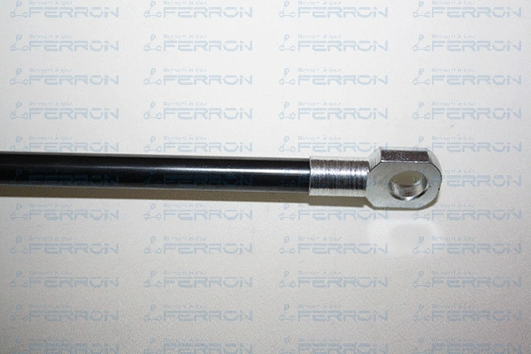 Gas Spring, boot/cargo area