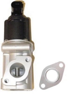 EGR Valve (TOP11450017)