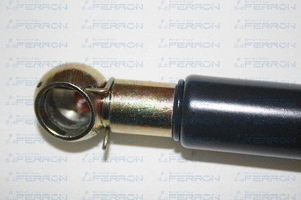 Gas Spring, boot/cargo area