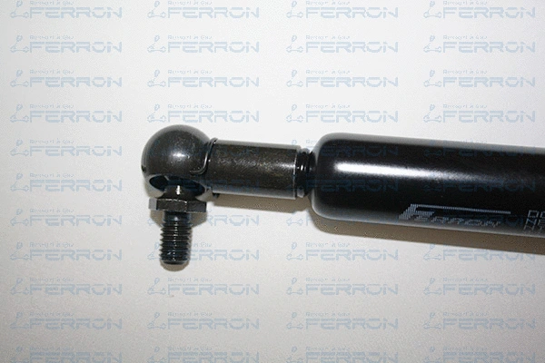 Gas Spring, boot/cargo area