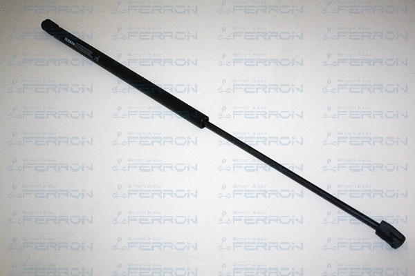 Gas Spring, boot/cargo area (22)