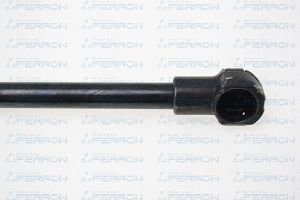 Gas Spring, boot/cargo area