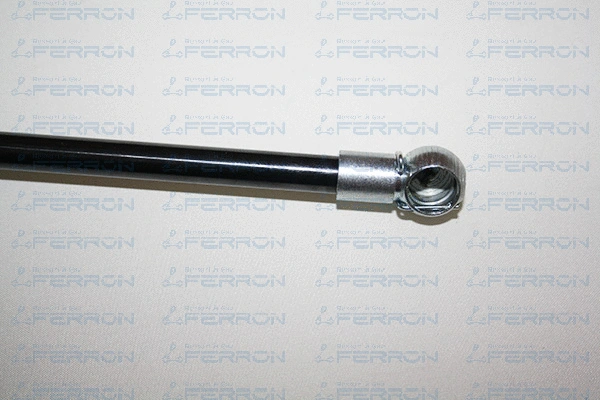 Gas Spring, boot/cargo area