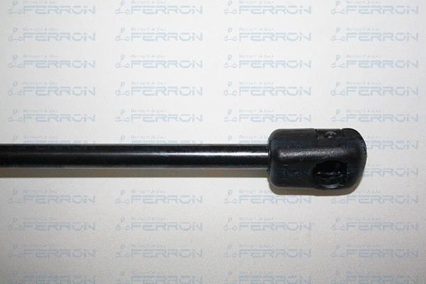 Gas Spring, boot/cargo area