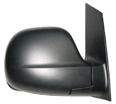 Exterior Mirror (11ME90901)