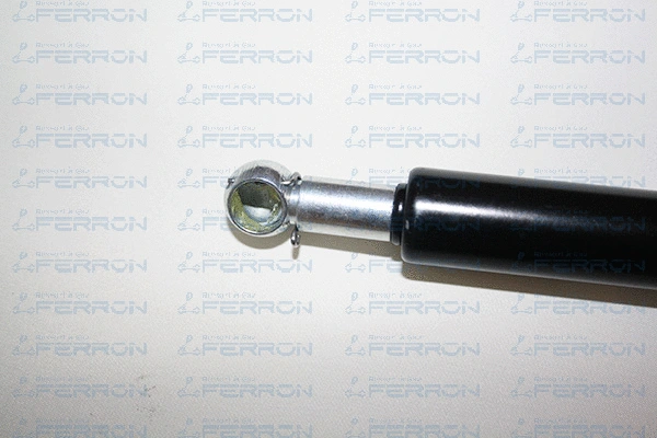 Gas Spring, bonnet