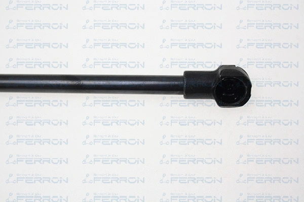 Gas Spring, boot/cargo area