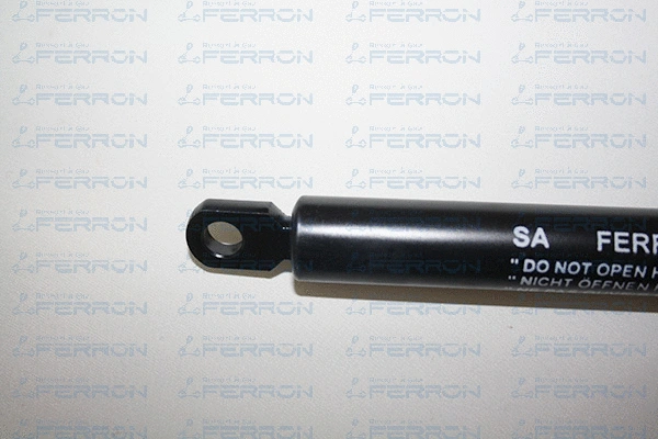 Gas Spring, boot/cargo area