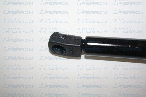 Gas Spring, boot/cargo area