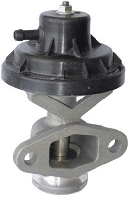EGR Valve (TOP11450029)