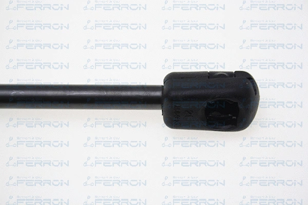 Gas Spring, boot/cargo area