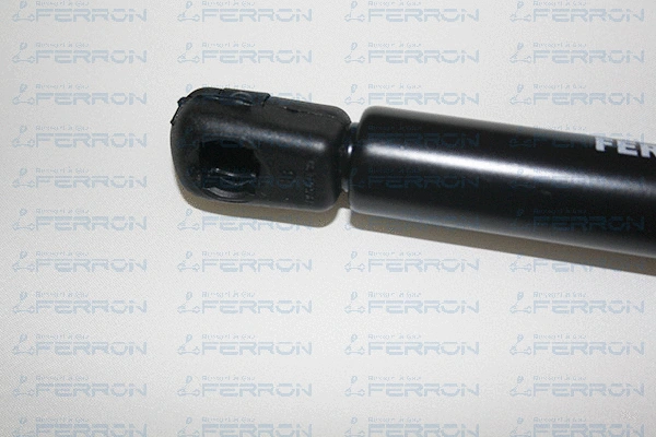 Gas Spring, boot/cargo area