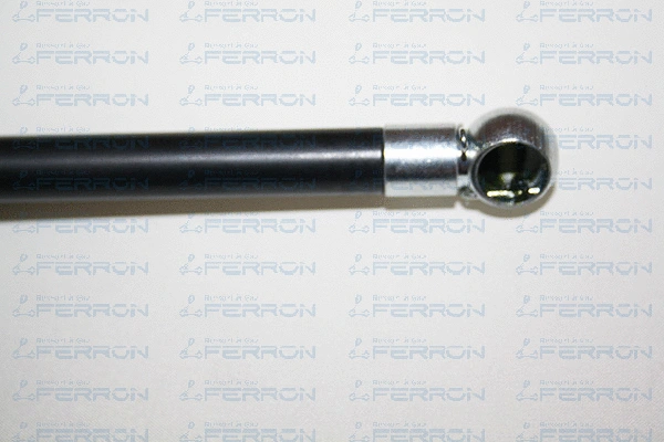 Gas Spring, bonnet