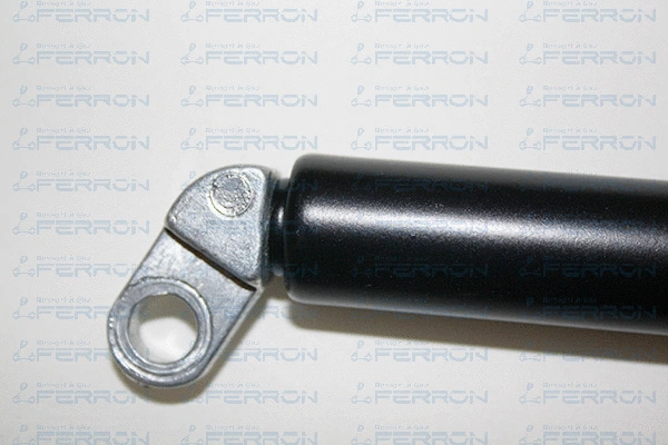 Gas Spring, boot/cargo area