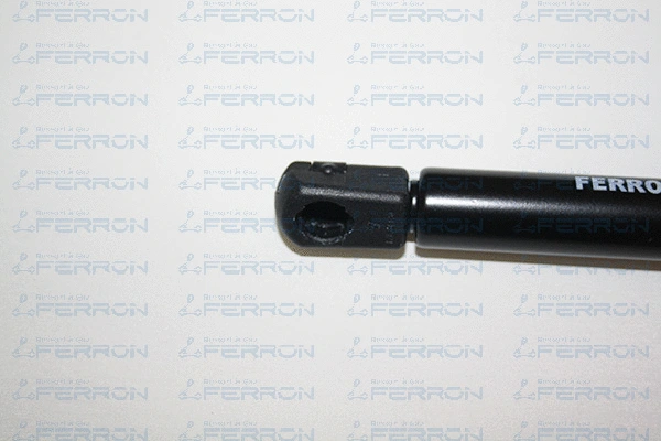 Gas Spring, boot/cargo area