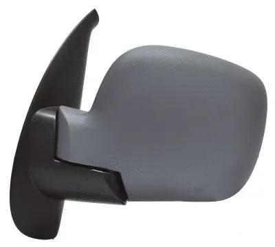 Exterior Mirror (11RN91804)