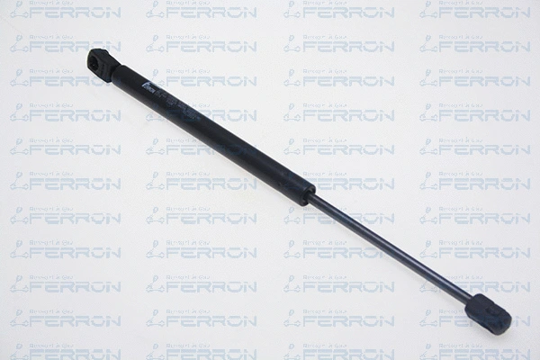 Gas Spring, boot/cargo area (1978)