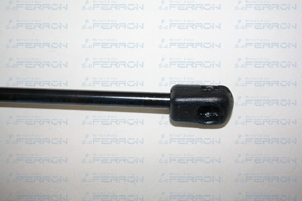 Gas Spring, boot/cargo area