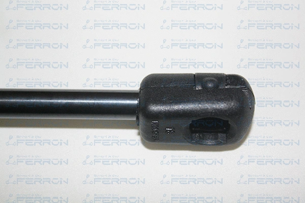 Gas Spring, boot/cargo area