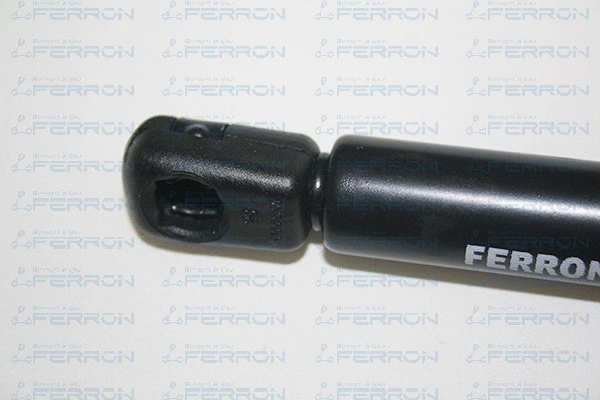 Gas Spring, boot/cargo area