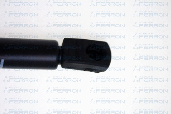 Gas Spring, boot/cargo area