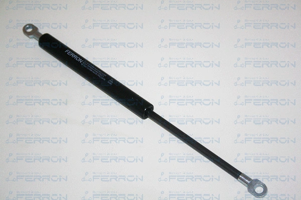 Gas Spring, boot/cargo area (80)