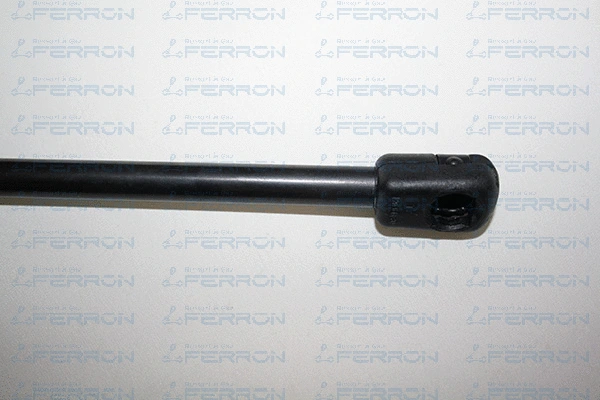 Gas Spring, boot/cargo area