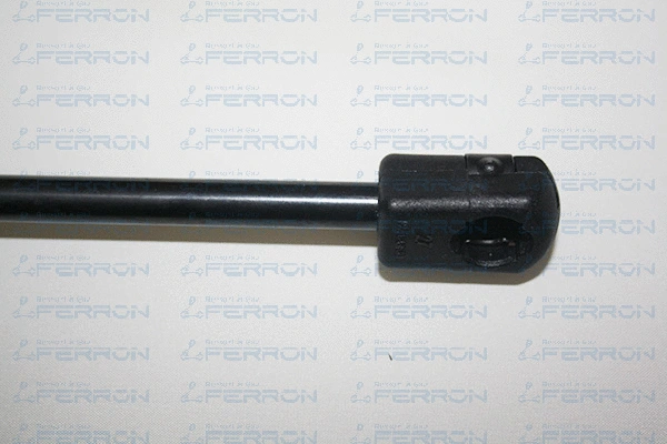Gas Spring, boot/cargo area
