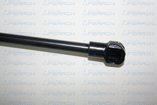 Gas Spring, boot/cargo area