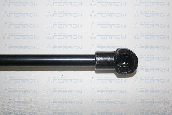 Gas Spring, boot/cargo area