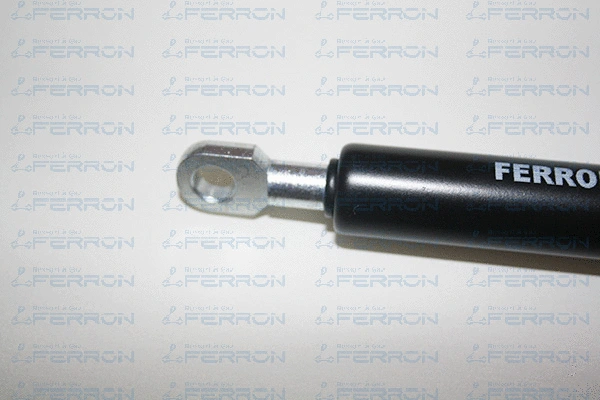 Gas Spring, boot/cargo area