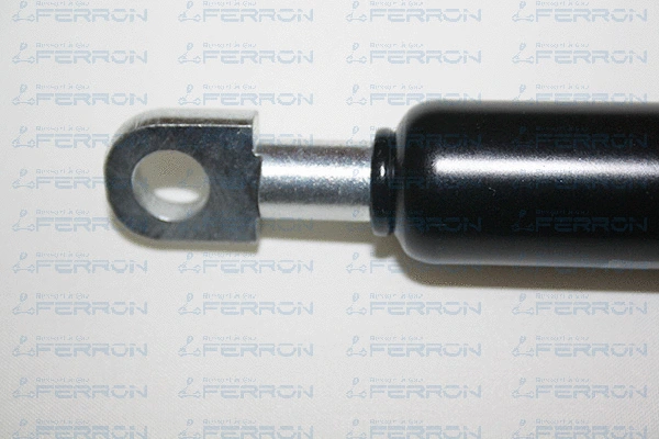 Gas Spring, boot/cargo area