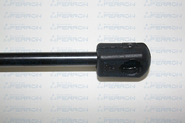 Gas Spring, boot/cargo area
