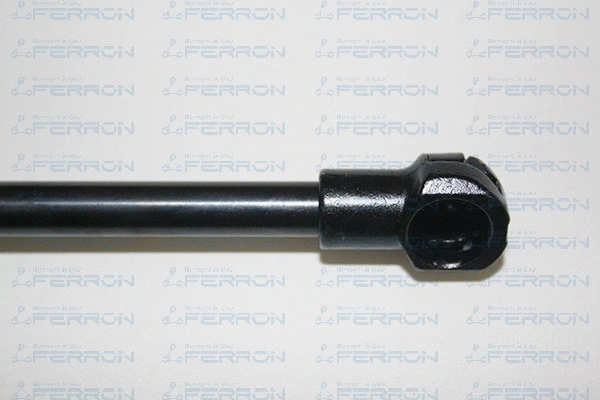 Gas Spring, boot/cargo area
