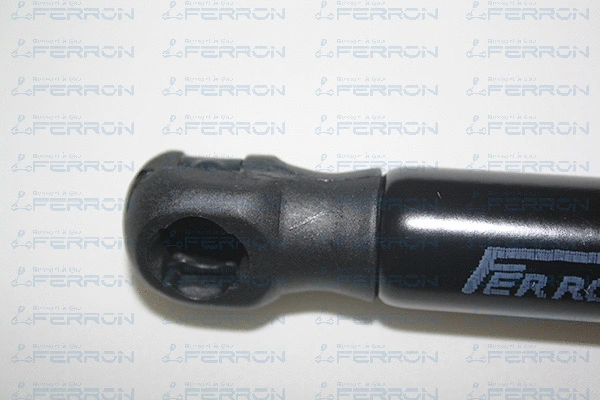 Gas Spring, boot/cargo area