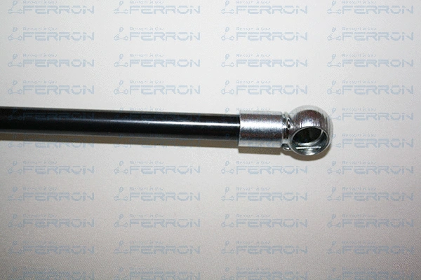 Gas Spring, boot/cargo area