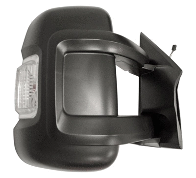 Exterior Mirror (11FT93003)