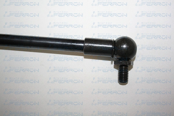 Gas Spring, boot/cargo area